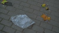 100 tallt szentllek
Ploubuter Park (68)