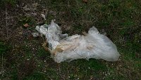 100 tallt szentllek
Ploubuter Park (83)
