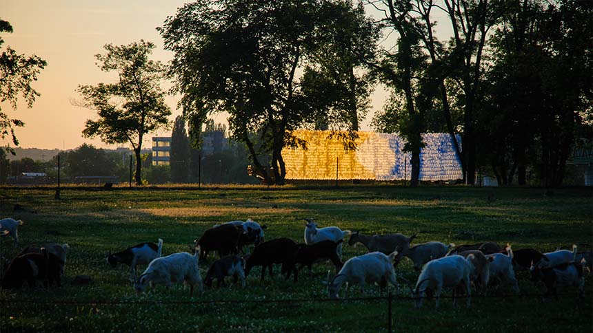 Ploubuter Park, OFFBB 2015, Budapest