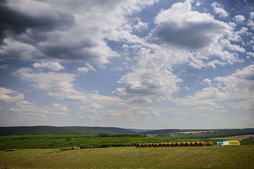 Ploubuter Park, Domony, 2016