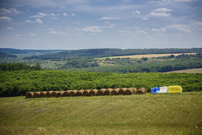 Ploubuter Park, Domony, 2016