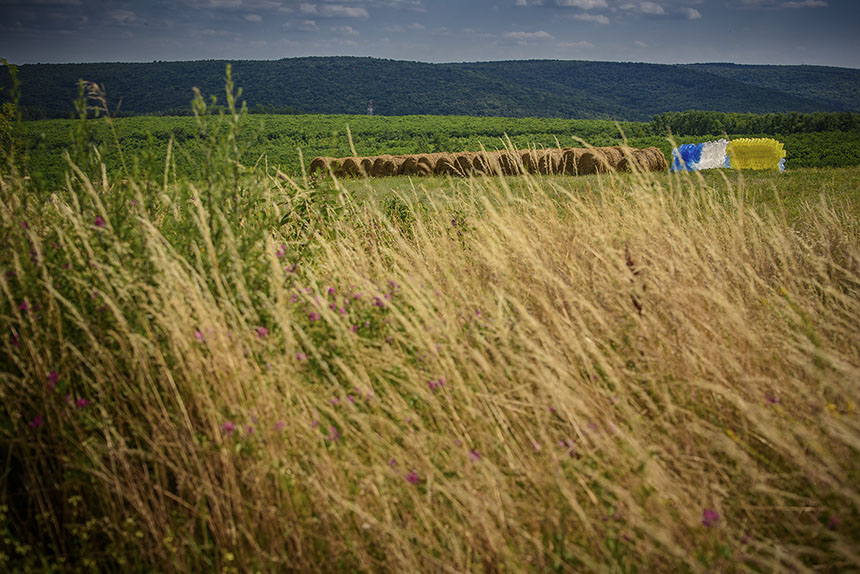 Ploubuter Park, Domony, 2016