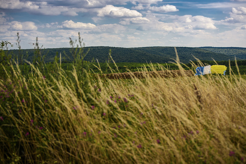 Ploubuter Park, Domony, 2016