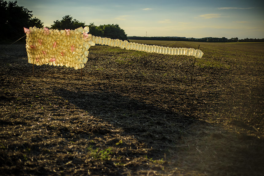 Ploubuter Park, Erdkrt, 2016