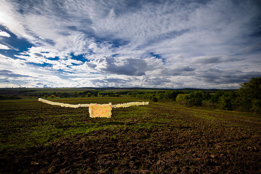 PloubuterPark, Galgagyrk, 2016