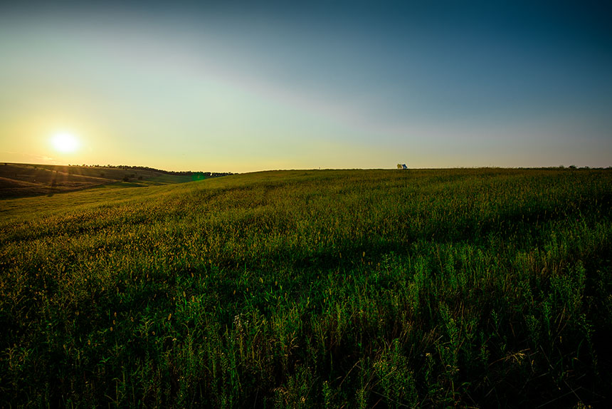 PloubuterPark, Galgamacsa, 2016