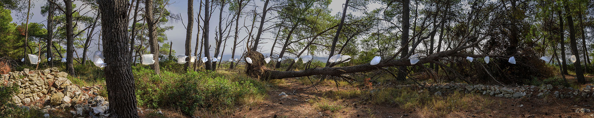 Ploubuter Park, panorama