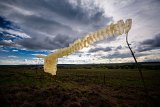 PloubuterPark-112-B-20161005