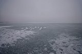 PloubuterPark-132-B-20170129