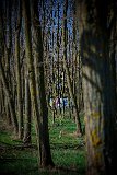 PloubuterPark-206-B-20170324