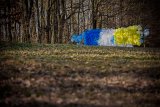 PloubuterPark-225-B-20170321