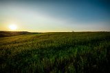 PloubuterPark-257-B-20160818