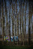 PloubuterPark-296-B-20170324