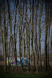 PloubuterPark-296-B-20170324